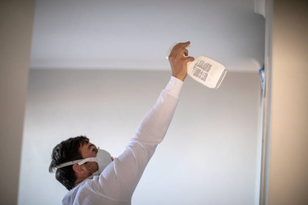 Best Professional Mold Removal  in Graniteville, SC