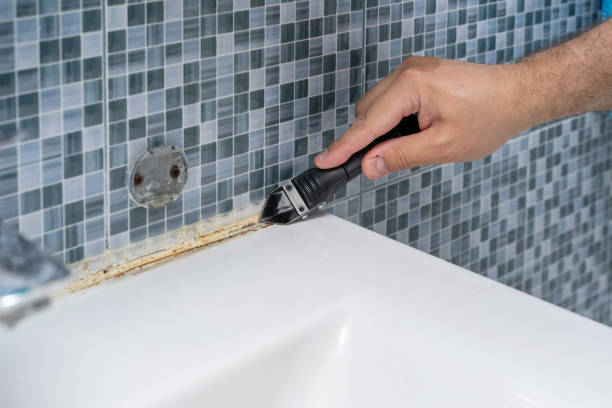 Best Best Mold Removal Companies  in Graniteville, SC