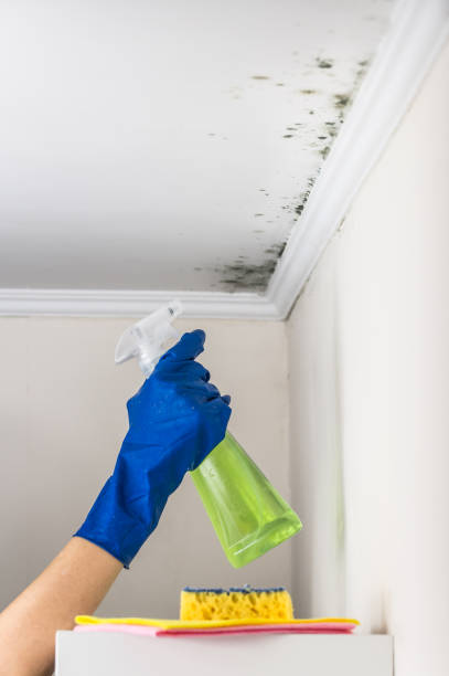 Graniteville, SC Mold Removal Company